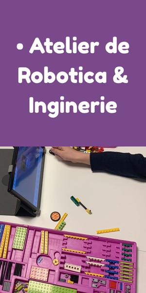 ATELIER ROBOTICA & INGINERIE